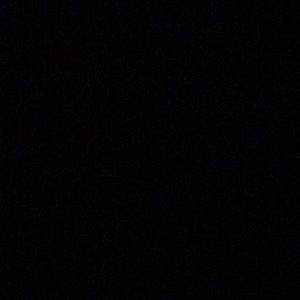 Meet your Posher, Reginald